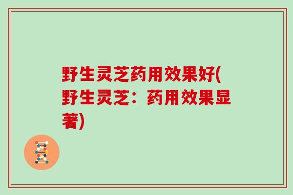野生灵芝药用效果好(野生灵芝：药用效果显著)