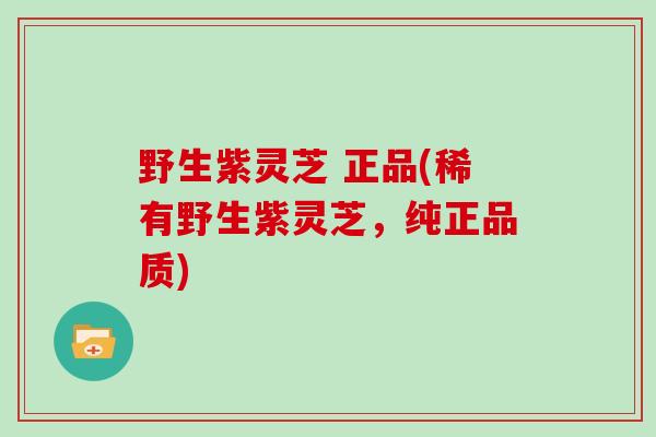 野生紫灵芝 正品(稀有野生紫灵芝，纯正品质)