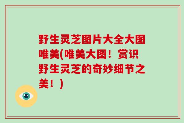 野生灵芝图片大全大图唯美(唯美大图！赏识野生灵芝的奇妙细节之美！)