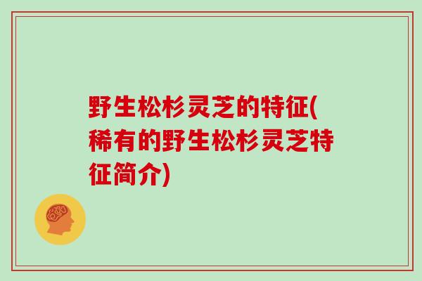 野生松杉灵芝的特征(稀有的野生松杉灵芝特征简介)