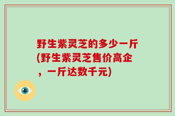 野生紫灵芝的多少一斤(野生紫灵芝售价高企，一斤达数千元)