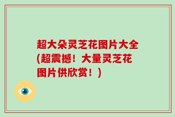 超大朵灵芝花图片大全(超震撼！大量灵芝花图片供欣赏！)