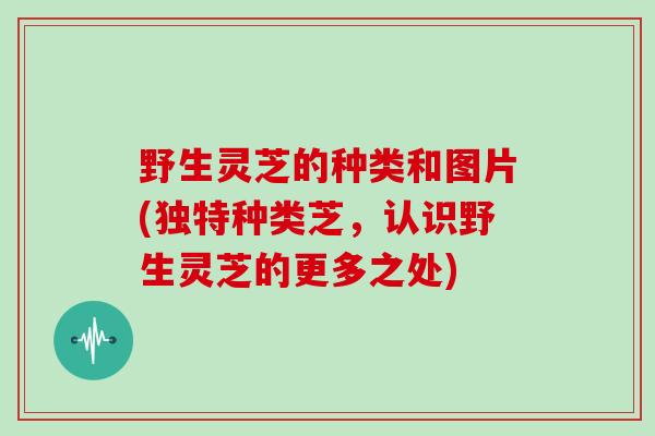 野生灵芝的种类和图片(独特种类芝，认识野生灵芝的更多之处)