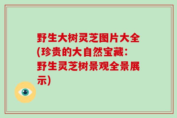 野生大树灵芝图片大全(珍贵的大自然宝藏：野生灵芝树景观全景展示)