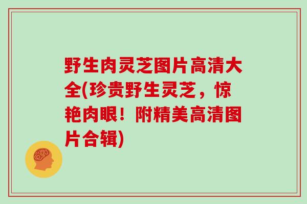 野生肉灵芝图片高清大全(珍贵野生灵芝，惊艳肉眼！附精美高清图片合辑)