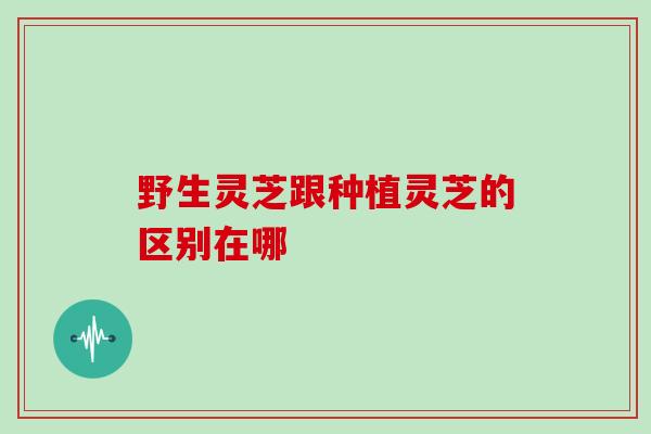 野生灵芝跟种植灵芝的区别在哪