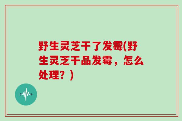 野生灵芝干了发霉(野生灵芝干品发霉，怎么处理？)