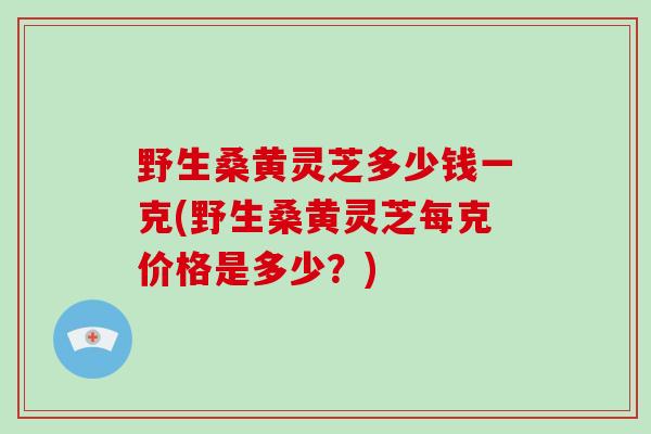 野生桑黄灵芝多少钱一克(野生桑黄灵芝每克价格是多少？)