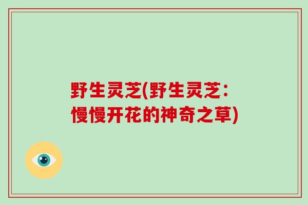 野生灵芝(野生灵芝：慢慢开花的神奇之草)