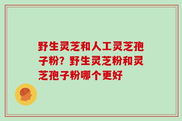 野生灵芝和人工灵芝孢子粉？野生灵芝粉和灵芝孢子粉哪个更好