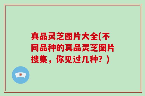 真品灵芝图片大全(不同品种的真品灵芝图片搜集，你见过几种？)