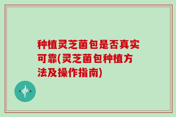 种植灵芝菌包是否真实可靠(灵芝菌包种植方法及操作指南)
