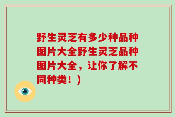 野生灵芝有多少种品种图片大全野生灵芝品种图片大全，让你了解不同种类！)