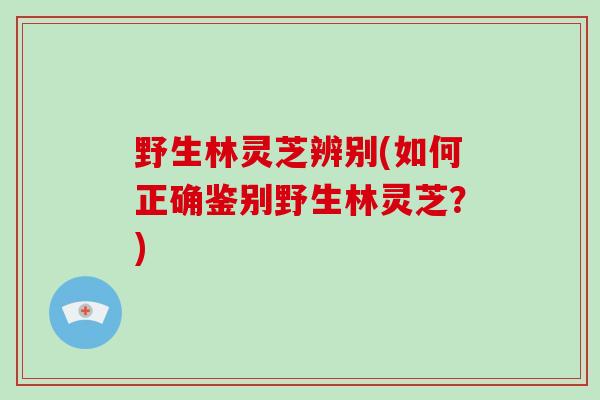 野生林灵芝辨别(如何正确鉴别野生林灵芝？)