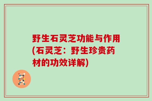 野生石灵芝功能与作用(石灵芝：野生珍贵药材的功效详解)