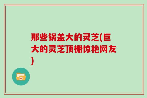 那些锅盖大的灵芝(巨大的灵芝顶棚惊艳网友)