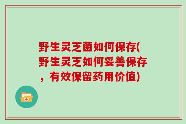 野生灵芝菌如何保存(野生灵芝如何妥善保存，有效保留药用价值)