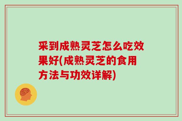 采到成熟灵芝怎么吃效果好(成熟灵芝的食用方法与功效详解)-第1张图片-灵芝大师 采到成熟灵芝怎么吃效果好(成熟灵芝的食用方法与功效详解)-第1张图片-灵芝大师