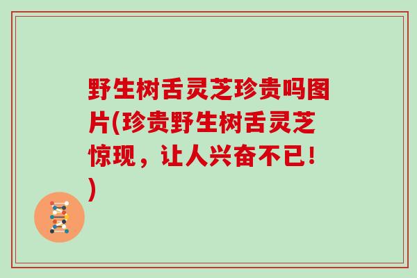 野生树舌灵芝珍贵吗图片(珍贵野生树舌灵芝惊现，让人兴奋不已！)