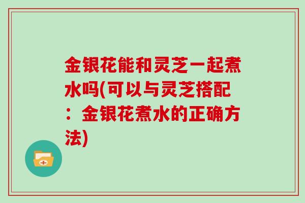 金银花能和灵芝一起煮水吗(可以与灵芝搭配：金银花煮水的正确方法)
