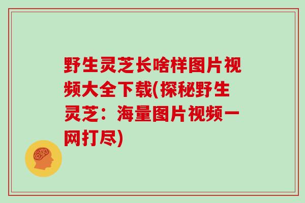 野生灵芝长啥样图片视频大全下载(探秘野生灵芝：海量图片视频一网打尽)