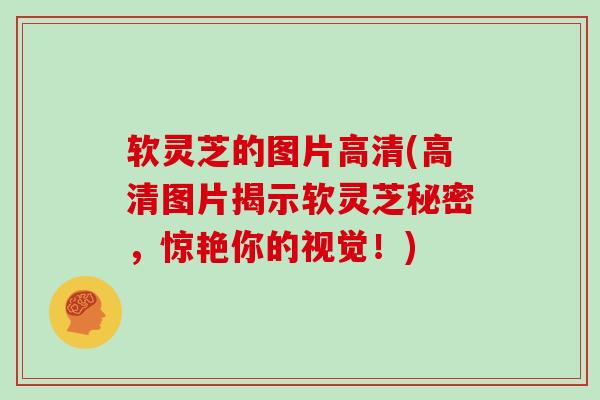 软灵芝的图片高清(高清图片揭示软灵芝秘密，惊艳你的视觉！)