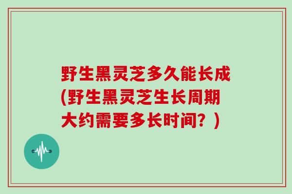 野生黑灵芝多久能长成(野生黑灵芝生长周期大约需要多长时间？)