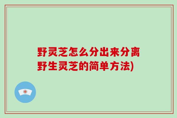 野灵芝怎么分出来分离野生灵芝的简单方法)