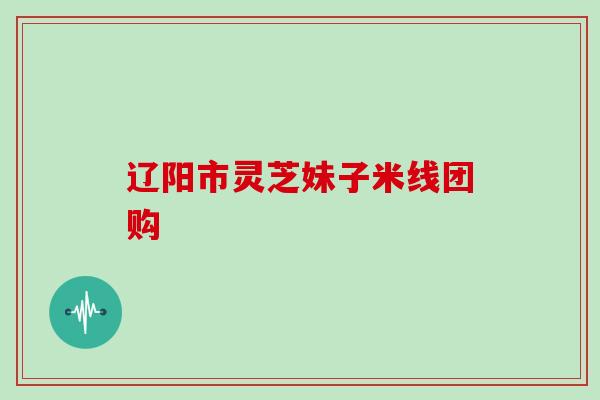 辽阳市灵芝妹子米线团购