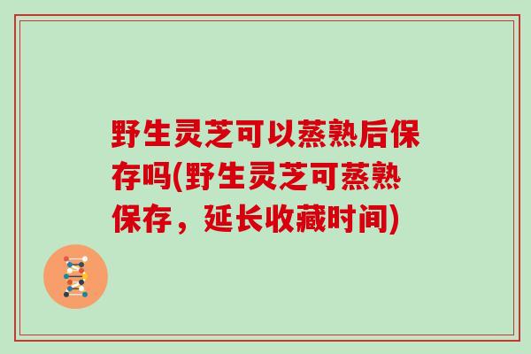 野生灵芝可以蒸熟后保存吗(野生灵芝可蒸熟保存,延长收藏时间)-第1张图片-灵芝大师 野生灵芝可以蒸熟后保存吗(野生灵芝可蒸熟保存,延长收藏时间)-第1张图片-灵芝大师