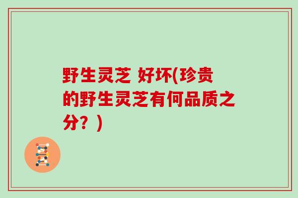 野生灵芝 好坏(珍贵的野生灵芝有何品质之分？)