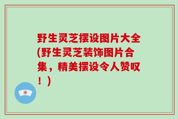 野生灵芝摆设图片大全(野生灵芝装饰图片合集，精美摆设令人赞叹！)