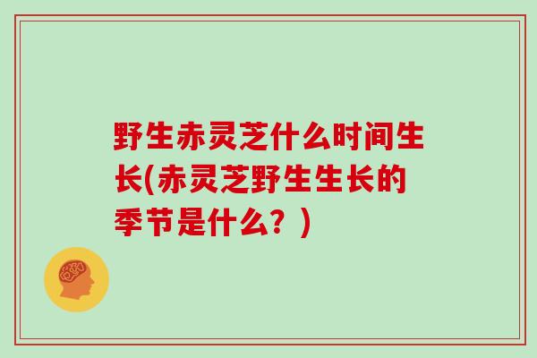 野生赤灵芝什么时间生长(赤灵芝野生生长的季节是什么？)