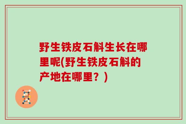 野生铁皮石斛生长在哪里呢(野生铁皮石斛的产地在哪里?)-第1张图片-灵芝大师 野生铁皮石斛生长在哪里呢(野生铁皮石斛的产地在哪里?)-第1张图片-灵芝大师