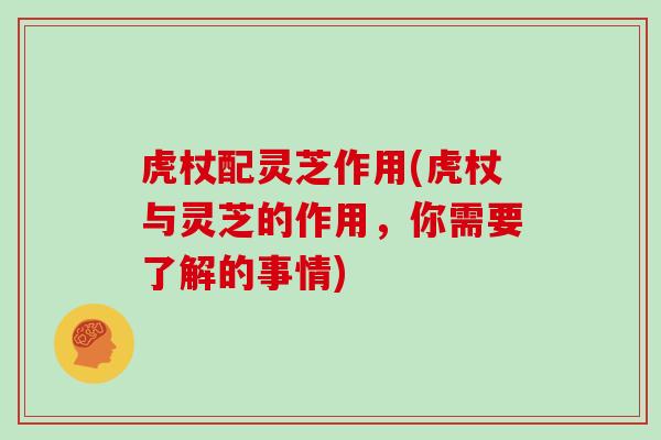 虎杖配灵芝作用(虎杖与灵芝的作用，你需要了解的事情)
