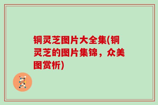 铜灵芝图片大全集(铜灵芝的图片集锦，众美图赏析)