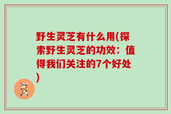 野生灵芝有什么用(探索野生灵芝的功效：值得我们关注的7个好处)