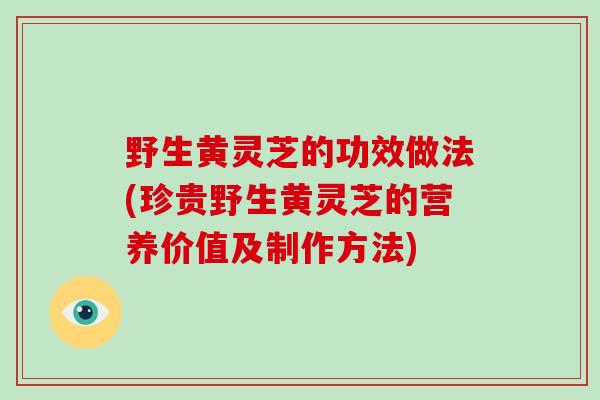 野生黄灵芝的功效做法(珍贵野生黄灵芝的营养价值及制作方法)