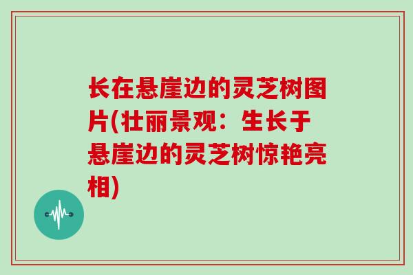 长在悬崖边的灵芝树图片(壮丽景观：生长于悬崖边的灵芝树惊艳亮相)