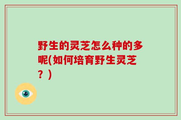 野生的灵芝怎么种的多呢(如何培育野生灵芝?)-第1张图片-灵芝大师 野生的灵芝怎么种的多呢(如何培育野生灵芝?)-第1张图片-灵芝大师