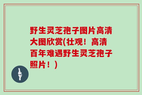 野生灵芝孢子图片高清大图欣赏(壮观！高清百年难遇野生灵芝孢子照片！)