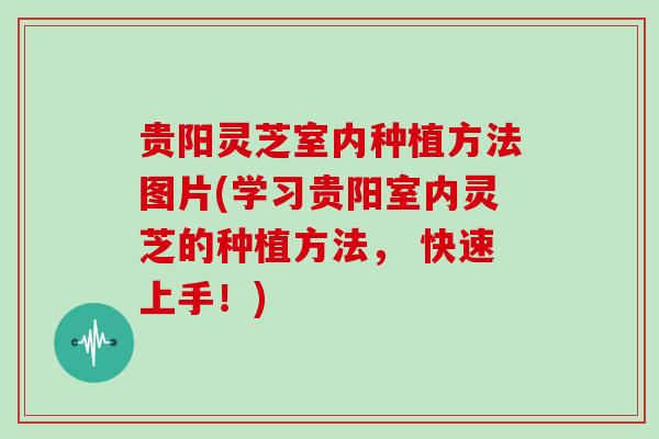 贵阳灵芝室内种植方法图片(学习贵阳室内灵芝的种植方法， 快速上手！)