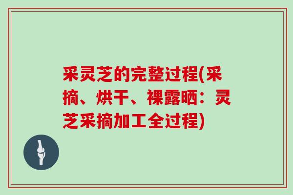 采灵芝的完整过程(采摘、烘干、裸露晒：灵芝采摘加工全过程)