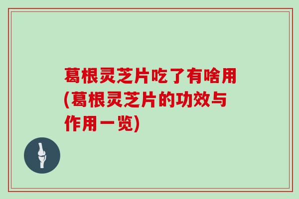 葛根灵芝片吃了有啥用(葛根灵芝片的功效与作用一览)
