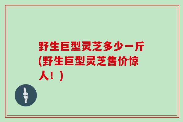 野生巨型灵芝多少一斤(野生巨型灵芝售价惊人！)