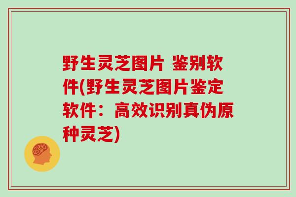 野生灵芝图片 鉴别软件(野生灵芝图片鉴定软件：高效识别真伪原种灵芝)