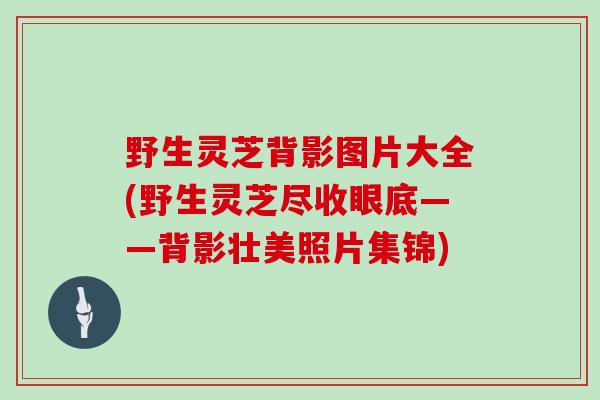 野生灵芝背影图片大全(野生灵芝尽收眼底——背影壮美照片集锦)
