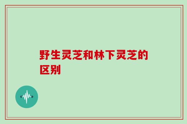 野生灵芝和林下灵芝的区别
