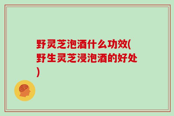 野灵芝泡酒什么功效(野生灵芝浸泡酒的好处)