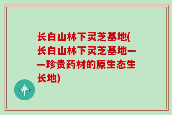 长白山林下灵芝基地(长白山林下灵芝基地——珍贵药材的原生态生长地)-第1张图片-灵芝大师 长白山林下灵芝基地(长白山林下灵芝基地——珍贵药材的原生态生长地)-第1张图片-灵芝大师
